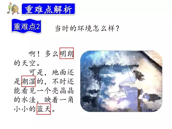 水洼的意思三年级铺满金色巴掌的水泥道(54)