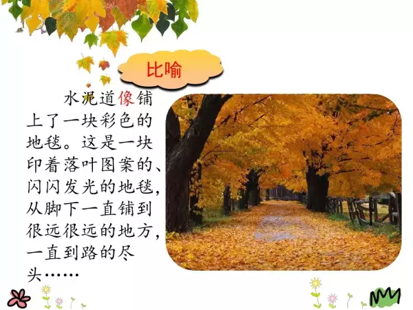 水洼的意思三年级铺满金色巴掌的水泥道(56)