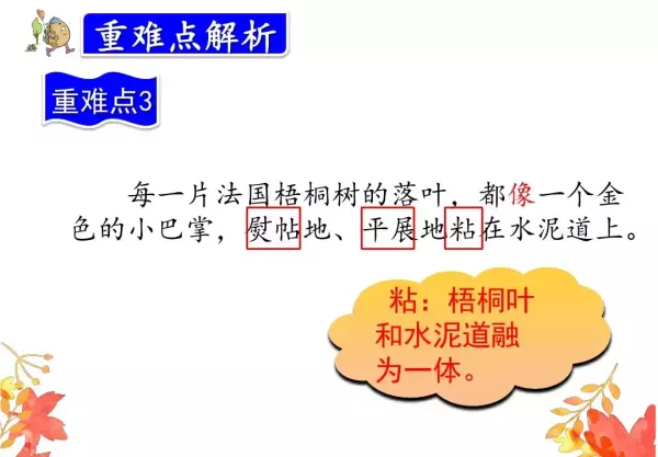 水洼的意思三年级铺满金色巴掌的水泥道(57)