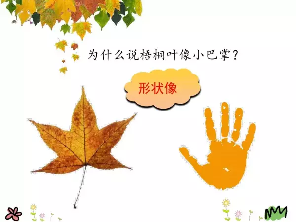 水洼的意思三年级铺满金色巴掌的水泥道(58)