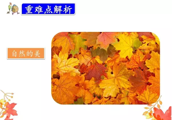 水洼的意思三年级铺满金色巴掌的水泥道(60)