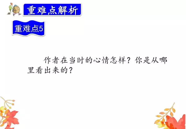 水洼的意思三年级铺满金色巴掌的水泥道(61)
