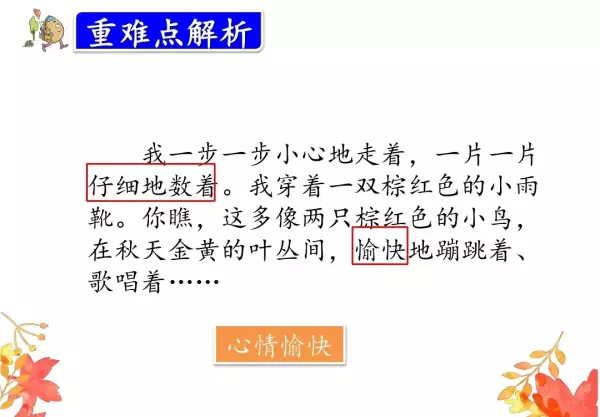 水洼的意思三年级铺满金色巴掌的水泥道(62)