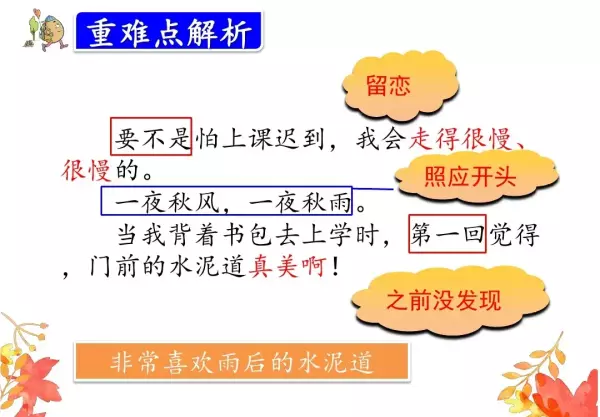 水洼的意思三年级铺满金色巴掌的水泥道(63)
