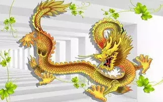 2024年属龙人的整体运势怎么样呢女孩子(4)