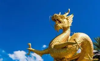 2024年属龙人的整体运势怎么样呢女孩子(8)