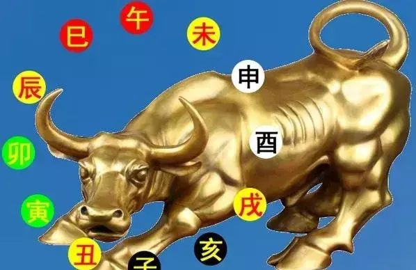 牛气冲天打一生肖解释是什么动物(10)
