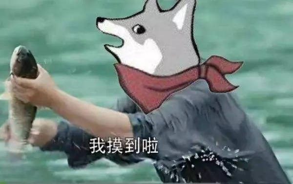 命运2男女同乐公会欢迎您的加入(13)