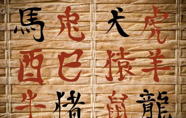 风水与八字中的辰是水库还是木库?(11)
