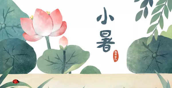 24节日是按照阳历还是阴历(5)