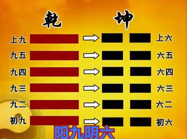 易经卦里的几个爻加起来的数字叫什么名字(11)