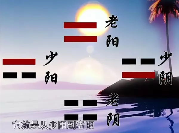 易经卦里的几个爻加起来的数字叫什么名字(7)