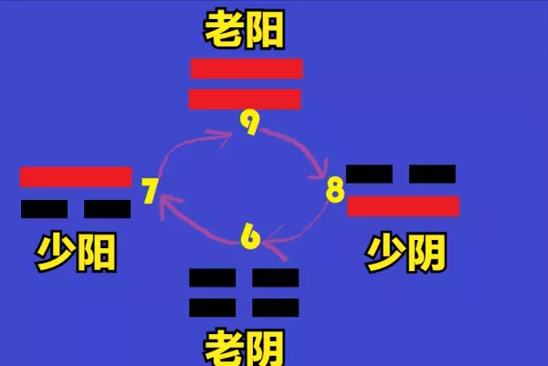 易经卦里的几个爻加起来的数字叫什么名字(8)