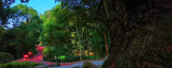 唯有读书才能改变农村孩子命运的句子有哪些(10)