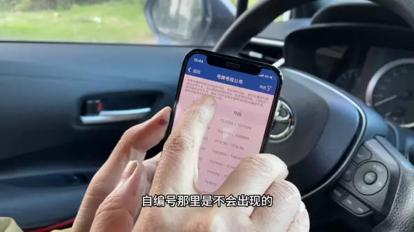 汽车选号怎么选到豹子号(2)