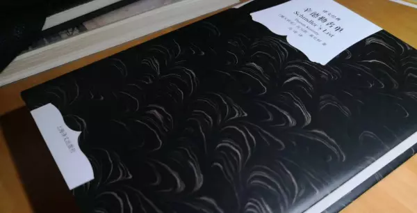 犹太人的命运读后感3000字左右怎么写(2)
