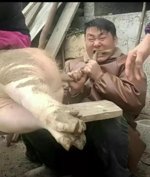 为什么开运动会就下雨请周易解答(5)
