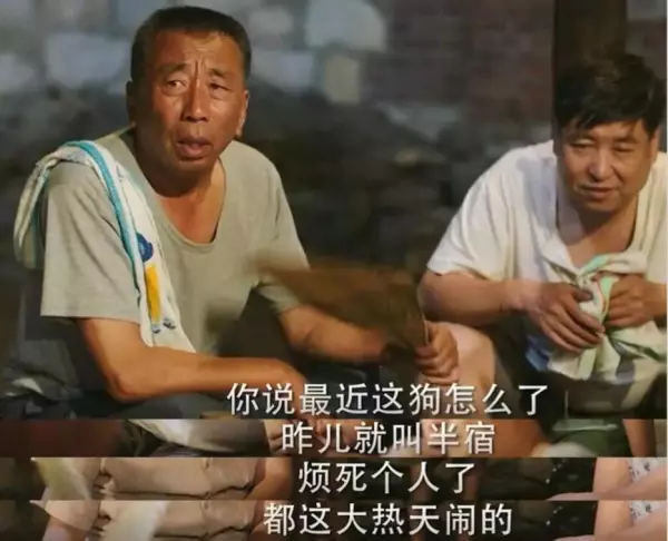 演员孔宋今是谁的女儿(15)