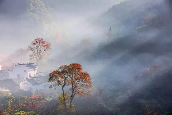 觑觎和觊觎有什么区别(3)