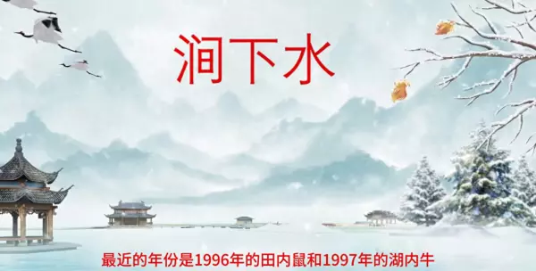 1996涧下水命是什么意思(1)