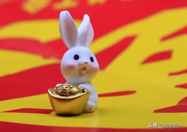 生肖羊2023年兔年运势如何看吉凶(3)