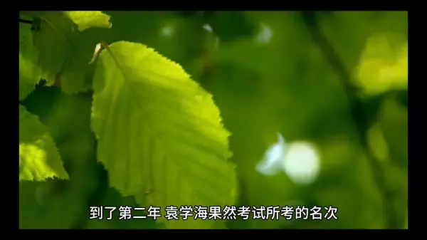再努力你的命运也掌握在别人手里什么意思呀(2)