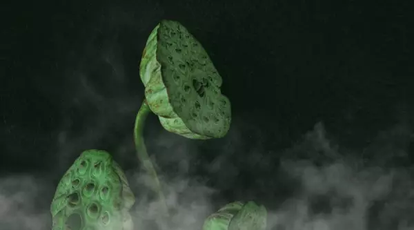 易经中形容物极必反的成语有哪些词语(4)
