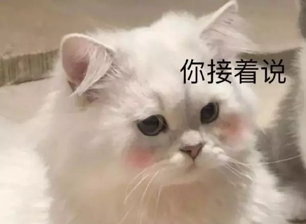 农历1982年1月13日,公历是哪天(7)