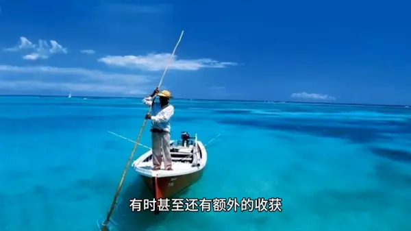 家庭命运是由女人来决定的吗知乎(1)