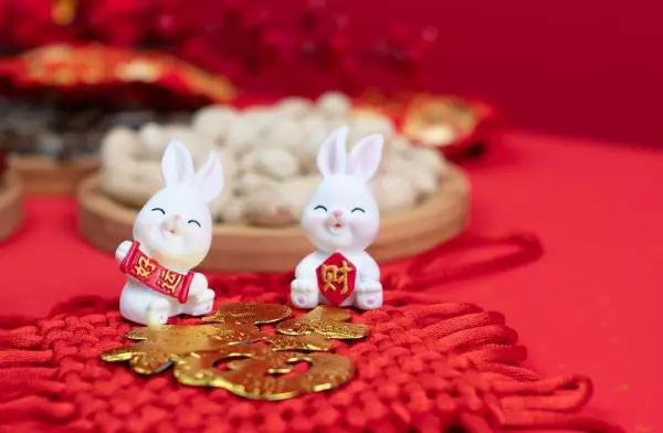 属兔的2021年12月份下旬运势(4)