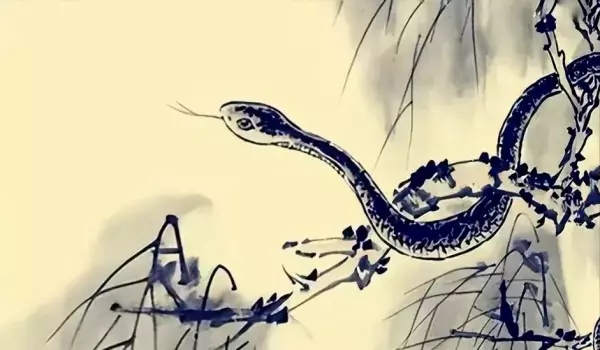 梦见双头蛇拦路是什么征兆周公解梦女人(2)