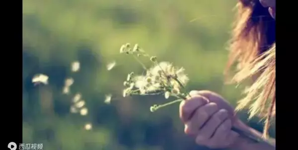 双鱼座10月下半月感情运势怎样呢女生(2)