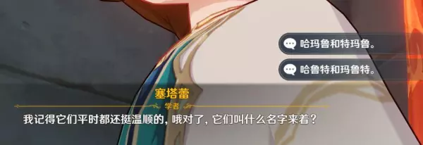 须弥城占卜师的两只猫叫什么来着呢(2)