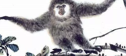 1980属猴农历8月初十男性运势如何呢(3)