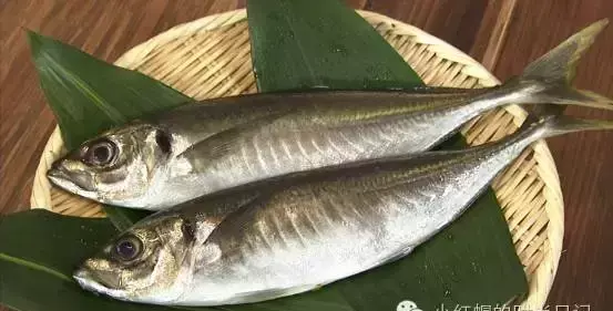 季花鱼的营养价值及功效(3)
