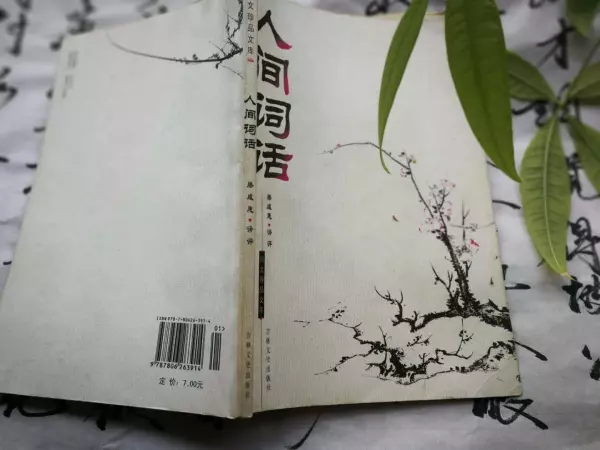幼安居士指的是哪位诗人?(1)