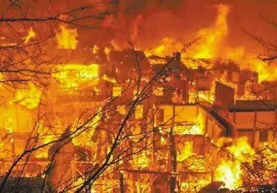 梦见抓了一条好长的鱼周公解梦是啥意思呀(2)