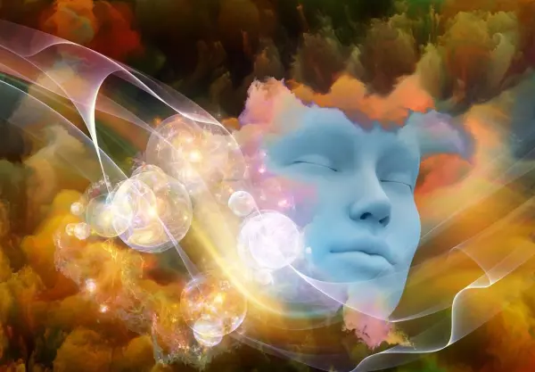 梦见抓了一条好长的鱼周公解梦是啥意思呀(3)