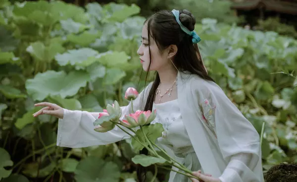 莲花何旖旎旖旎是什么意思(1)