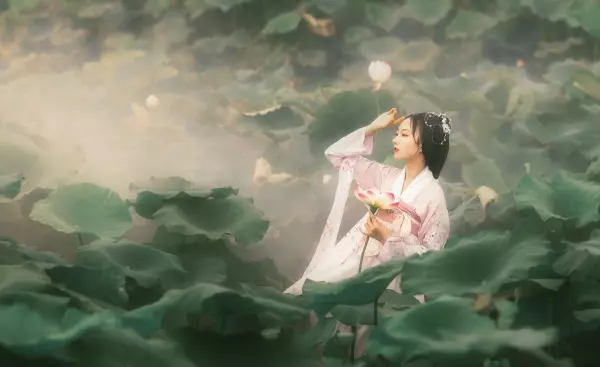 莲花何旖旎旖旎是什么意思(4)