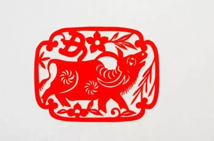 2022年七零年属狗的运势咋样呢(1)