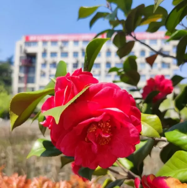 水瓶座4月下旬运势怎么样(11)
