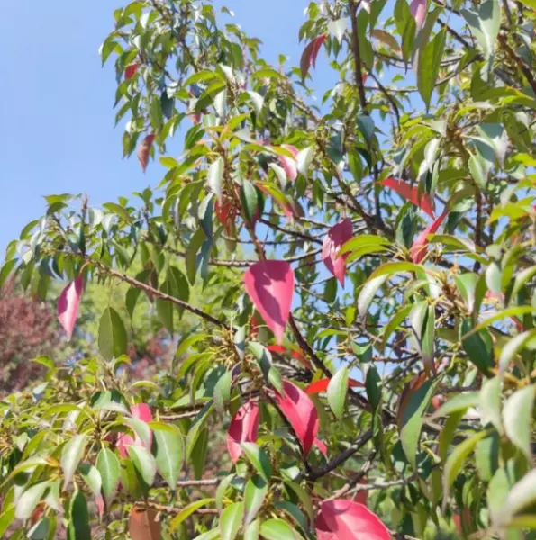 水瓶座4月下旬运势怎么样(13)