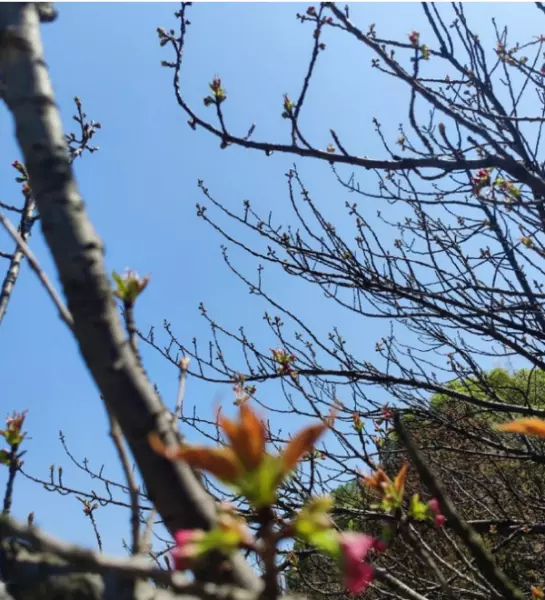水瓶座4月下旬运势怎么样(14)