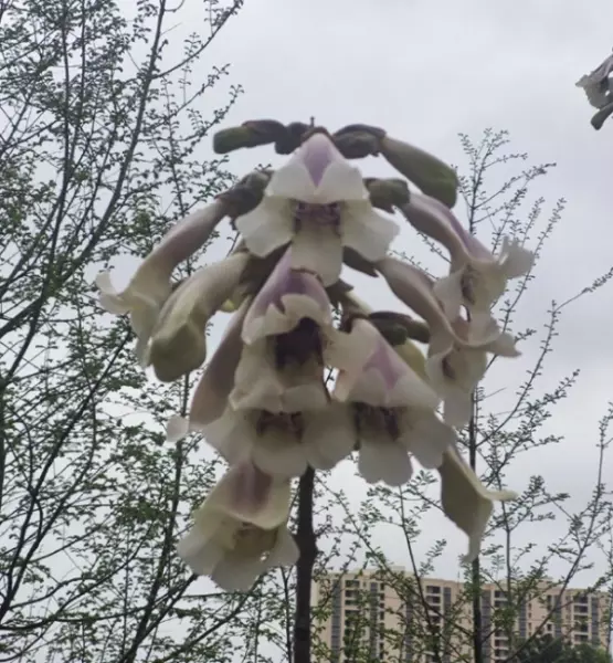 水瓶座4月下旬运势怎么样(15)