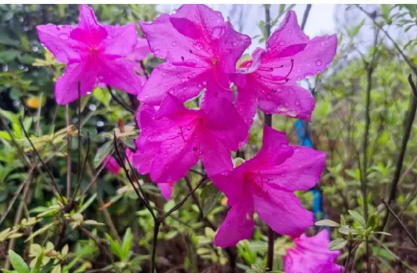 水瓶座4月下旬运势怎么样(16)