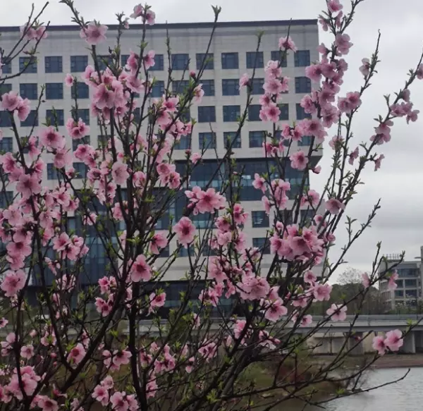 水瓶座4月下旬运势怎么样(18)