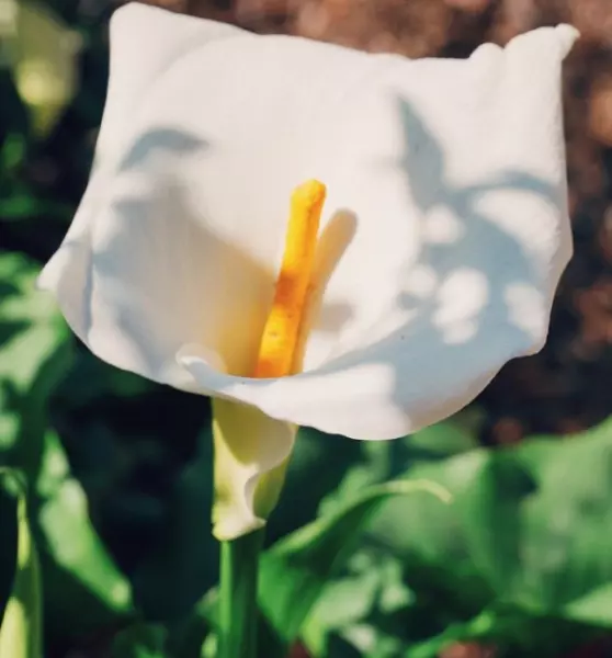 水瓶座4月下旬运势怎么样(22)