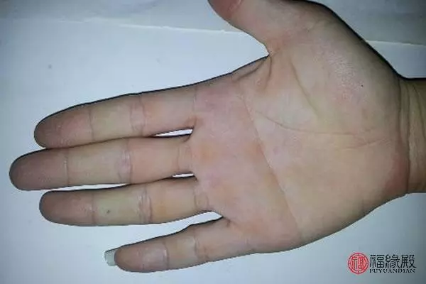右手断掌纹的男人命运怎么样(1)