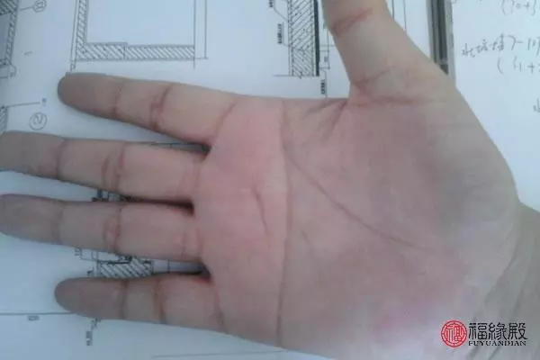 右手断掌纹的男人命运怎么样(2)